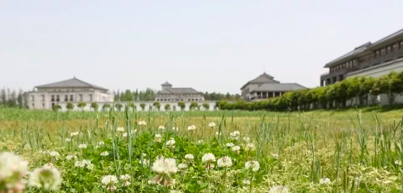 太湖大草原