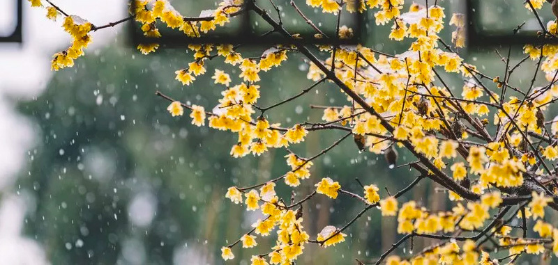 雪景2